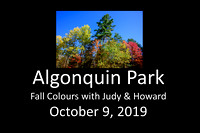 Algonquin Park Fall Folliage